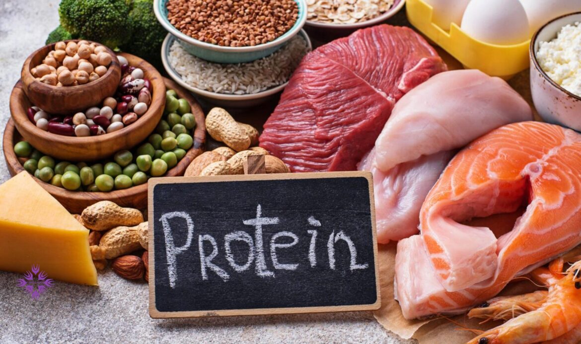 مواد پروتئین دار